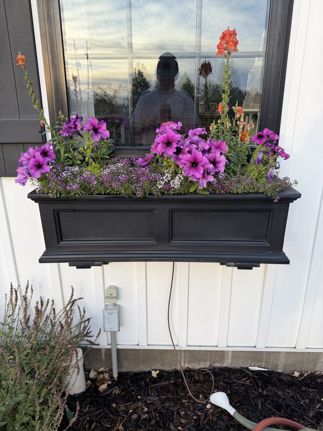 After - clean planter box